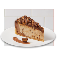 Peanut Butter Cheesecake Slice