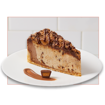 Peanut Butter Cheesecake Slice