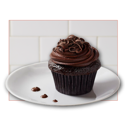 Blackout Chocolate Cupcakes (Pack of 4)