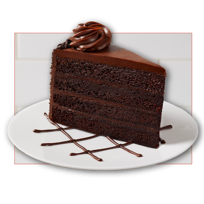 Layered Chocolate Fudge Cake Slice
