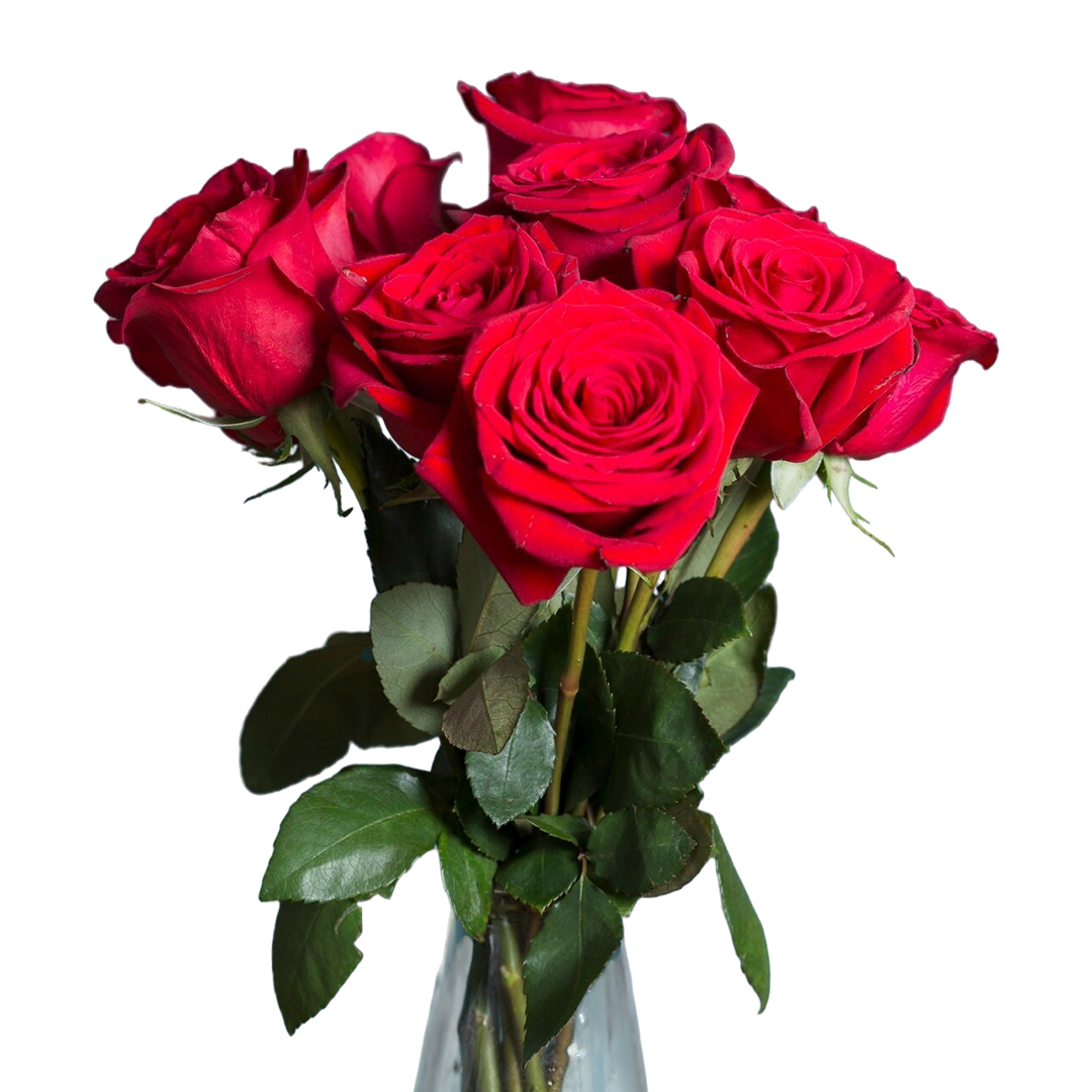 Half Dozen Red Roses Bouquet | Cake Slice